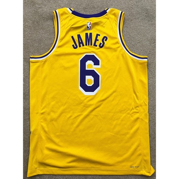 Nike Los Angeles Lakers Lebron James NBA Swingman Icon Edition Jersey Size L - Picture 2 of 7